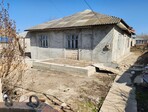 photo_low256720