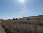 photo_low259016