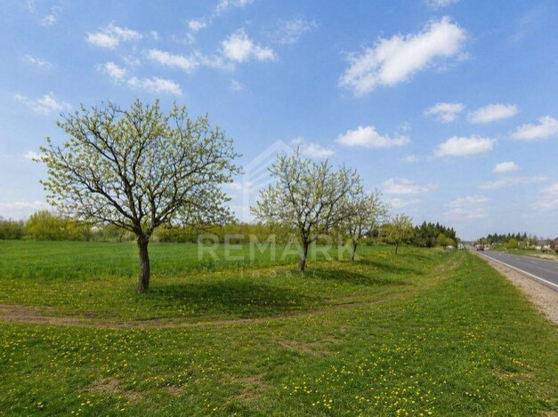 photo255312