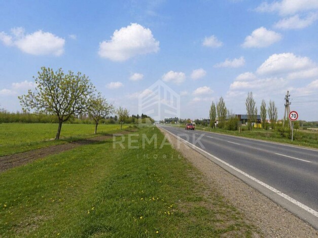 photo255311