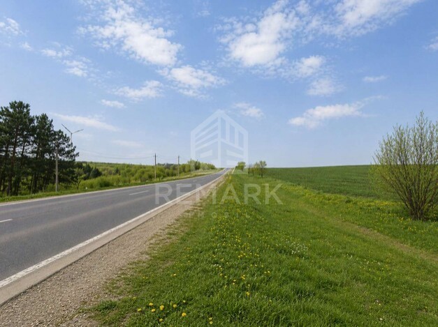 photo255316