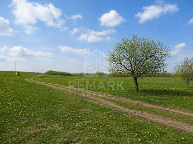 photo255315