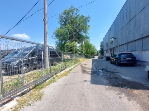 photo256331