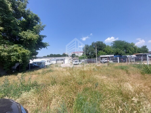 photo256333
