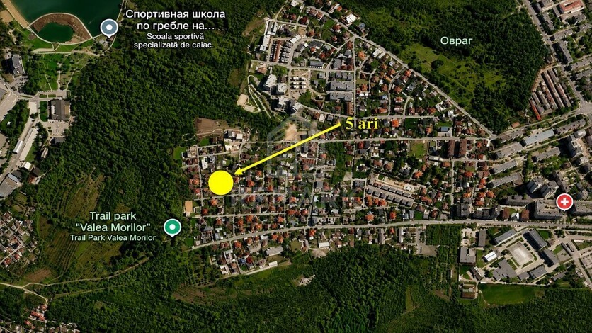 photo257878