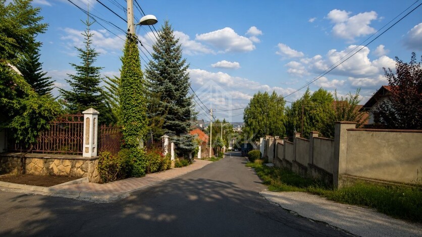 photo257887