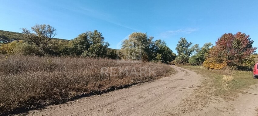 photo259012