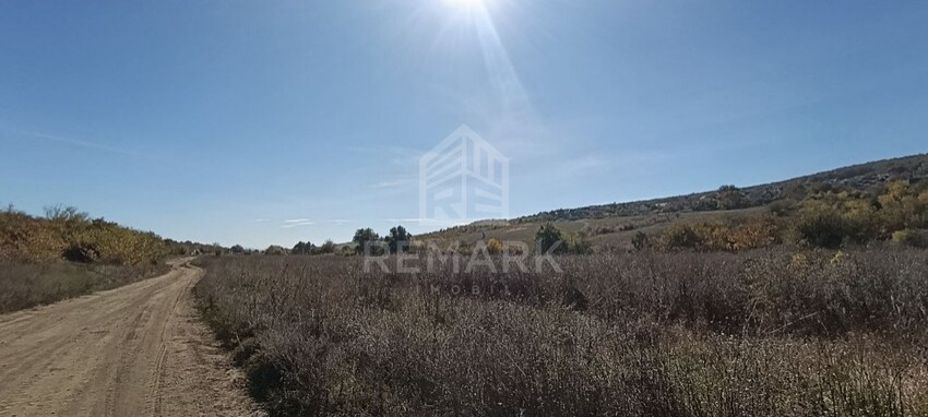 photo259016